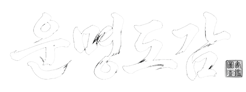 운명도감